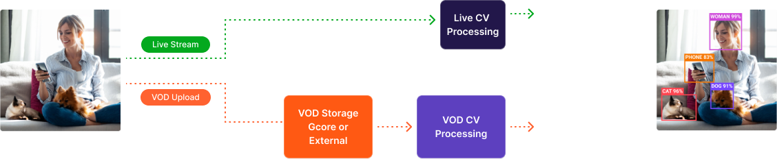 Usage Guides for Live & VOD